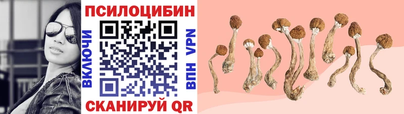наркотики  ОМГ ОМГ онион  Галлюциногенные грибы ЛСД  Новоульяновск 